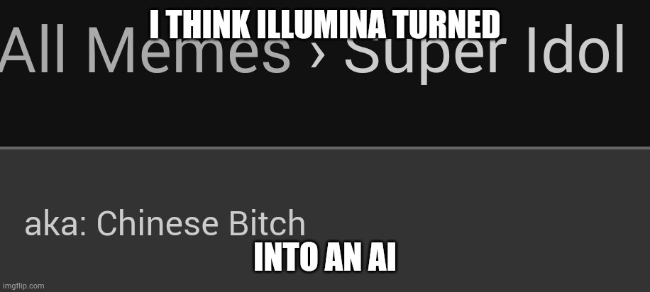 Chinese bitch | I THINK ILLUMINA TURNED; INTO AN AI | image tagged in chinese bitch | made w/ Imgflip meme maker