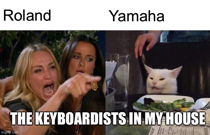 Keyboardists | Roland; Yamaha; THE KEYBOARDISTS IN MY HOUSE | image tagged in memes,woman yelling at cat | made w/ Imgflip meme maker