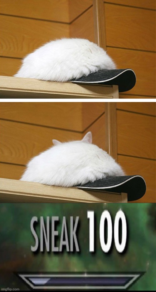 Sneaky cat hat | image tagged in sneak 100,cats,cat,sneaky,memes,cat in the hat | made w/ Imgflip meme maker