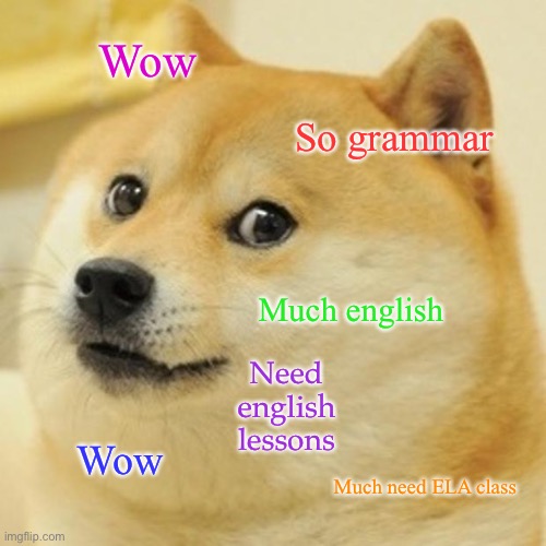 Doge Meme | Wow So grammar Much english Wow Much need ELA class Need english lessons | image tagged in memes,doge | made w/ Imgflip meme maker
