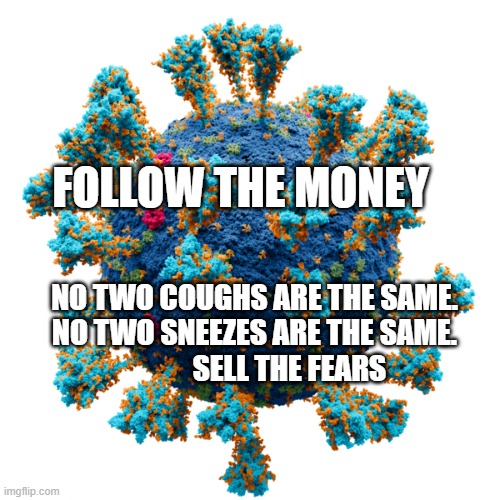 New Coronavirus | FOLLOW THE MONEY; NO TWO COUGHS ARE THE SAME. NO TWO SNEEZES ARE THE SAME.               SELL THE FEARS | image tagged in new coronavirus | made w/ Imgflip meme maker