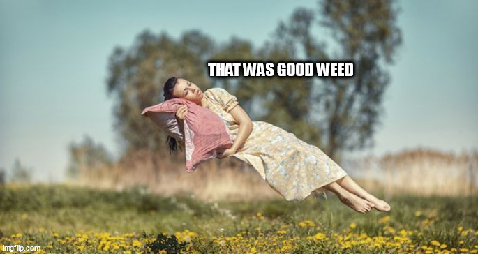 weed | THAT WAS GOOD WEED | image tagged in weed | made w/ Imgflip meme maker