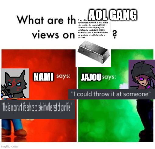 Nami and Jajou | AOL GANG; NAMI; JAJOU | image tagged in mario says luigi says | made w/ Imgflip meme maker