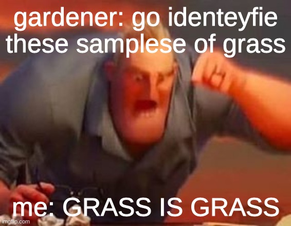 Mr incredible mad | gardener: go identeyfie these samplese of grass; me: GRASS IS GRASS | image tagged in mr incredible mad | made w/ Imgflip meme maker