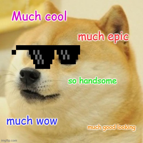 Doge | Much cool; much epic; so handsome; much wow; much good looking | image tagged in memes,doge | made w/ Imgflip meme maker