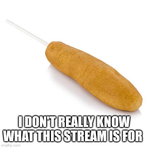  I DON'T REALLY KNOW WHAT THIS STREAM IS FOR | image tagged in corndog | made w/ Imgflip meme maker
