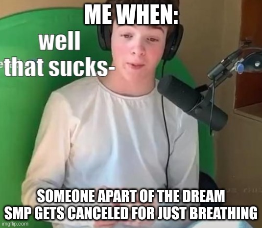 Welp that sucks | ME WHEN:; SOMEONE APART OF THE DREAM SMP GETS CANCELED FOR JUST BREATHING | image tagged in tubbo well that sucks-,tubbo,beeboy | made w/ Imgflip meme maker