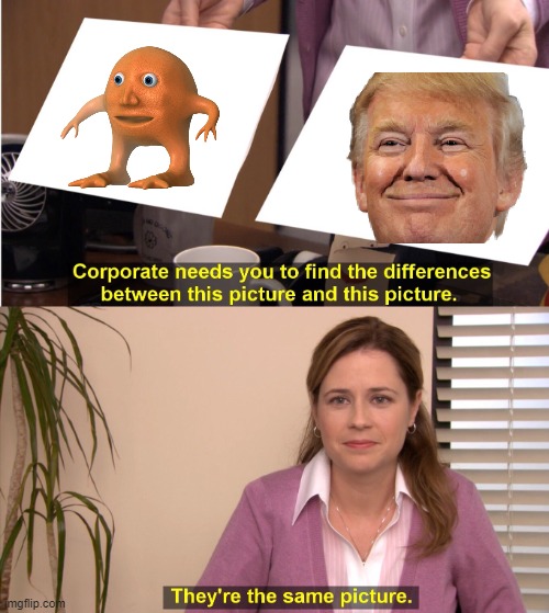 They're The Same Picture | image tagged in memes,they're the same picture | made w/ Imgflip meme maker