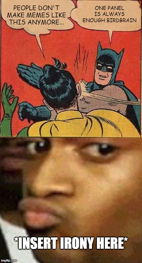 PEOPLE DON'T MAKE MEMES LIKE THIS ANYMORE... ONE PANEL IS ALWAYS ENOUGH BIRDBRAIN; *INSERT IRONY HERE* | image tagged in memes,batman slapping robin,doubtful lips | made w/ Imgflip meme maker