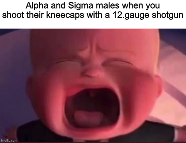 rly, who comes up this terms | Alpha and Sigma males when you shoot their kneecaps with a 12.gauge shotgun | image tagged in boss baby scream | made w/ Imgflip meme maker