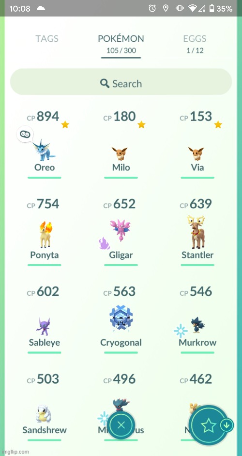 heres some of my MANY pokemon | image tagged in pokemon go | made w/ Imgflip meme maker