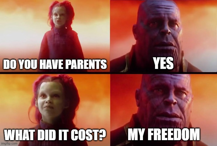 ... |  DO YOU HAVE PARENTS; YES; WHAT DID IT COST? MY FREEDOM | image tagged in thanos what did it cost | made w/ Imgflip meme maker