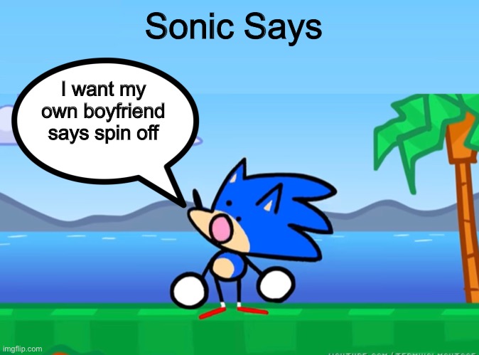 Sonic says | Sonic Says; I want my own boyfriend says spin off | image tagged in sonic says | made w/ Imgflip meme maker