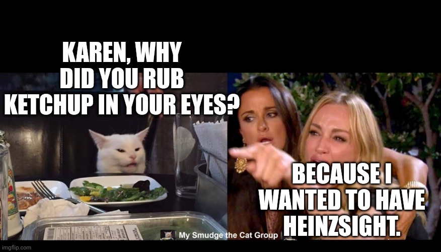 KAREN, WHY DID YOU RUB KETCHUP IN YOUR EYES? BECAUSE I WANTED TO HAVE  HEINZSIGHT. | image tagged in smudge the cat | made w/ Imgflip meme maker