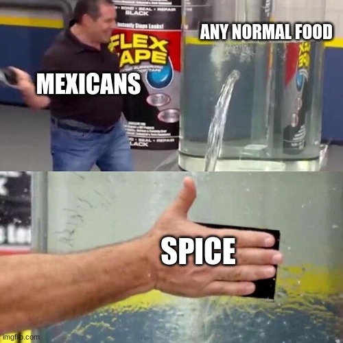 Spice | ANY NORMAL FOOD; MEXICANS; SPICE | image tagged in phil swift slapping on flex tape | made w/ Imgflip meme maker