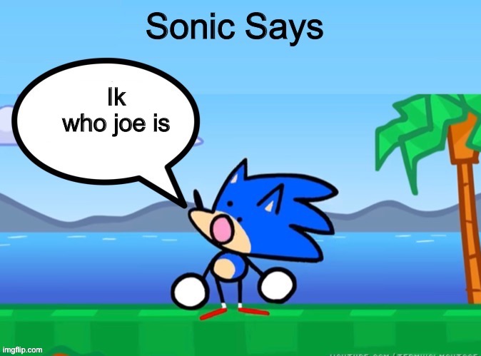 Sonic Says Episode 3 | Ik who joe is | image tagged in sonic says | made w/ Imgflip meme maker