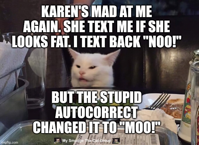 KAREN'S MAD AT ME AGAIN. SHE TEXT ME IF SHE LOOKS FAT. I TEXT BACK "NOO!"; BUT THE STUPID AUTOCORRECT CHANGED IT TO "MOO!" | image tagged in smudge the cat | made w/ Imgflip meme maker