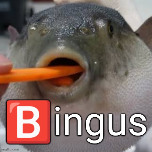 Æugh | ?️ingus | image tagged in ugh | made w/ Imgflip meme maker