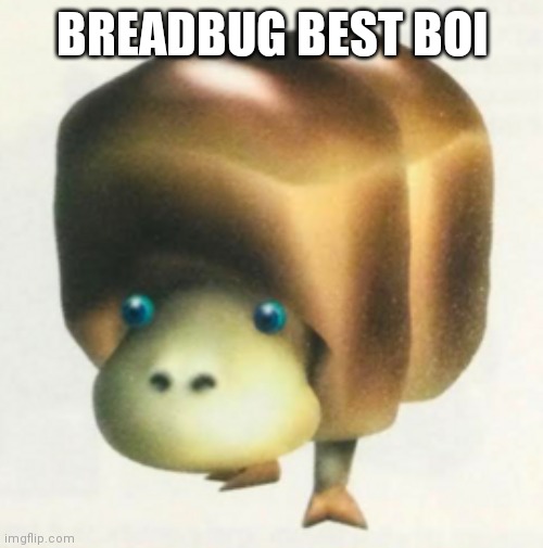Breadbug | BREADBUG BEST BOI | image tagged in breadbug | made w/ Imgflip meme maker