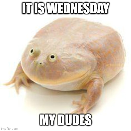 Wednesday Frog Blank | IT IS WEDNESDAY; MY DUDES | image tagged in wednesday frog blank | made w/ Imgflip meme maker