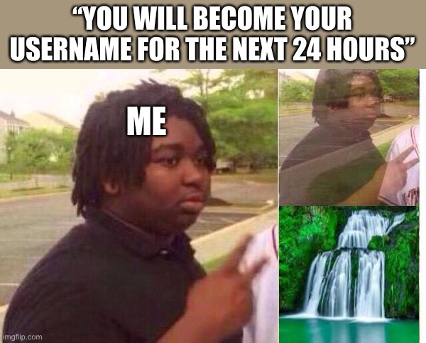 What would you become? | “YOU WILL BECOME YOUR USERNAME FOR THE NEXT 24 HOURS”; ME | image tagged in fading away | made w/ Imgflip meme maker