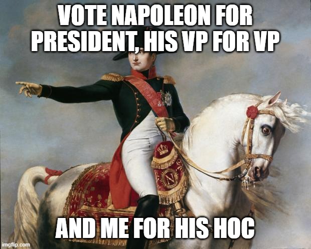 And a better IP | VOTE NAPOLEON FOR PRESIDENT, HIS VP FOR VP; AND ME FOR HIS HOC | image tagged in napoleon bonaparte | made w/ Imgflip meme maker