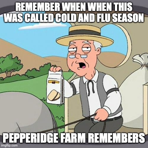 cold and flu season | REMEMBER WHEN WHEN THIS WAS CALLED COLD AND FLU SEASON; PEPPERIDGE FARM REMEMBERS | image tagged in memes,pepperidge farm remembers | made w/ Imgflip meme maker