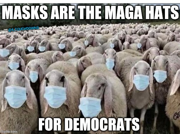 Build Back Baaaah | MASKS ARE THE MAGA HATS; @4_TOUCHDOWNS; FOR DEMOCRATS | image tagged in sheeple,masks | made w/ Imgflip meme maker