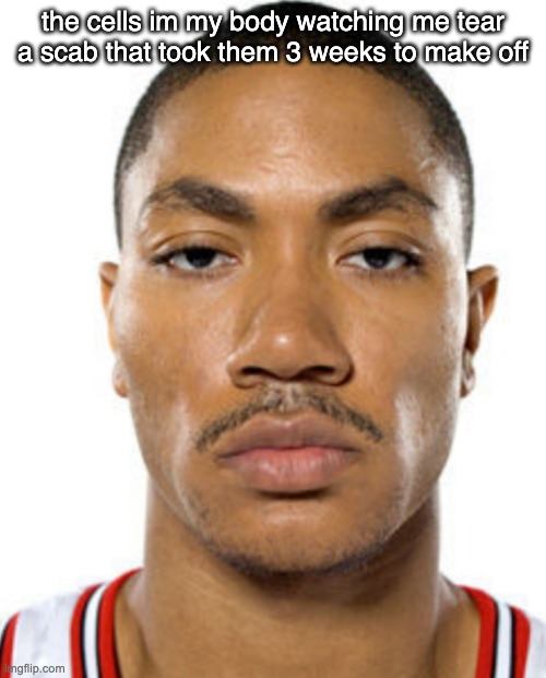 Derrick Rose Straight Face | the cells im my body watching me tear a scab that took them 3 weeks to make off | image tagged in derrick rose straight face | made w/ Imgflip meme maker