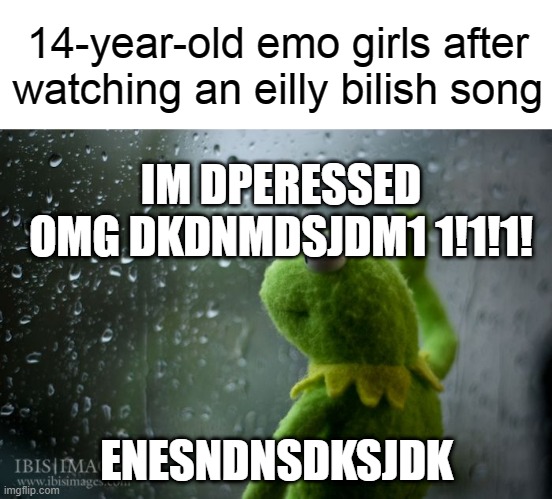 kermit window | 14-year-old emo girls after watching an eilly bilish song; IM DPERESSED OMG DKDNMDSJDM1 1!1!1! ENESNDNSDKSJDK | image tagged in kermit window | made w/ Imgflip meme maker