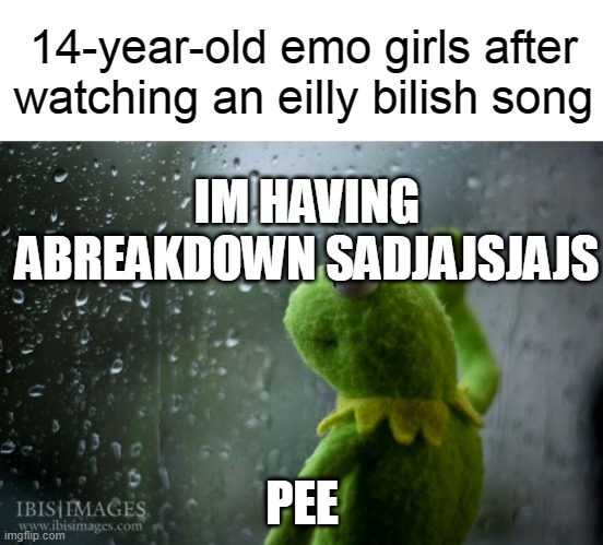 #2 | 14-year-old emo girls after watching an eilly bilish song; IM HAVING ABREAKDOWN SADJAJSJAJS; PEE | image tagged in kermit window | made w/ Imgflip meme maker