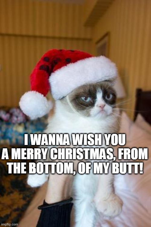 nobody cares about you lmao | I WANNA WISH YOU A MERRY CHRISTMAS, FROM THE BOTTOM, OF MY BUTT! | image tagged in memes,grumpy cat christmas,grumpy cat | made w/ Imgflip meme maker