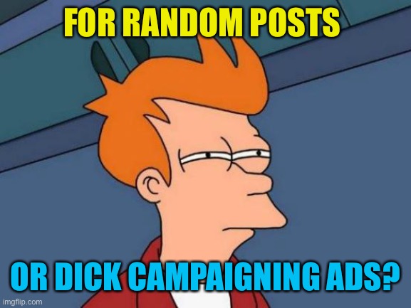 Futurama Fry Meme | FOR RANDOM POSTS OR DICK CAMPAIGNING ADS? | image tagged in memes,futurama fry | made w/ Imgflip meme maker