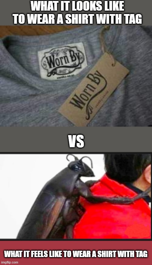 Shirt with tag | WHAT IT LOOKS LIKE TO WEAR A SHIRT WITH TAG; VS; WHAT IT FEELS LIKE TO WEAR A SHIRT WITH TAG | made w/ Imgflip meme maker