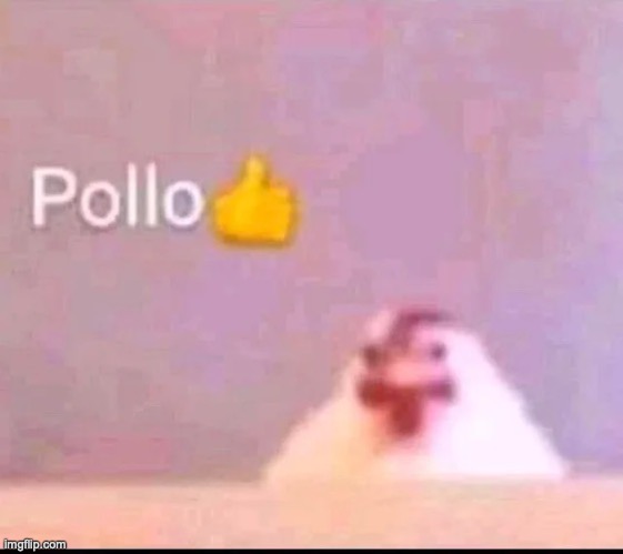 Time for more pollo spam | image tagged in pollo | made w/ Imgflip meme maker