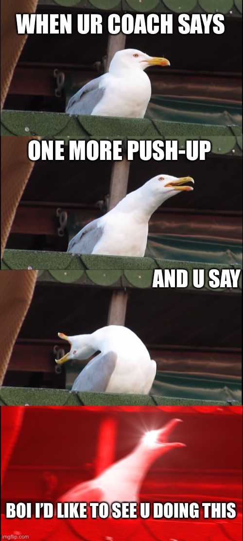 Inhaling Seagull | WHEN UR COACH SAYS; ONE MORE PUSH-UP; AND U SAY; BOI I’D LIKE TO SEE U DOING THIS | image tagged in memes,inhaling seagull | made w/ Imgflip meme maker