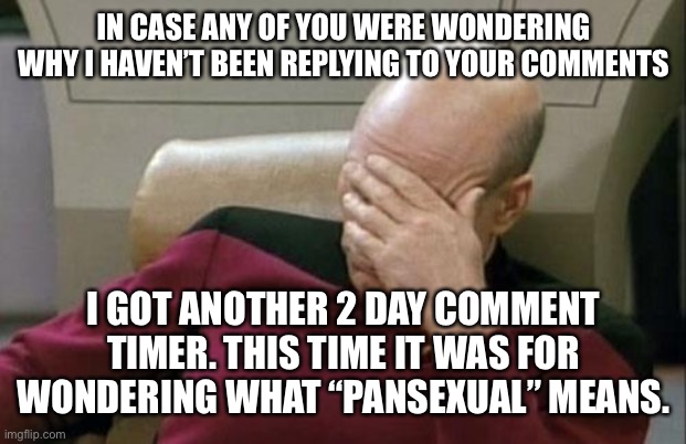 And no that’s not a joke. I literally can’t comment for 2 days because I thought it meant having a frying pan fetish. Screw this | IN CASE ANY OF YOU WERE WONDERING WHY I HAVEN’T BEEN REPLYING TO YOUR COMMENTS; I GOT ANOTHER 2 DAY COMMENT TIMER. THIS TIME IT WAS FOR WONDERING WHAT “PANSEXUAL” MEANS. | image tagged in the,site,mods,are,getting,petty | made w/ Imgflip meme maker