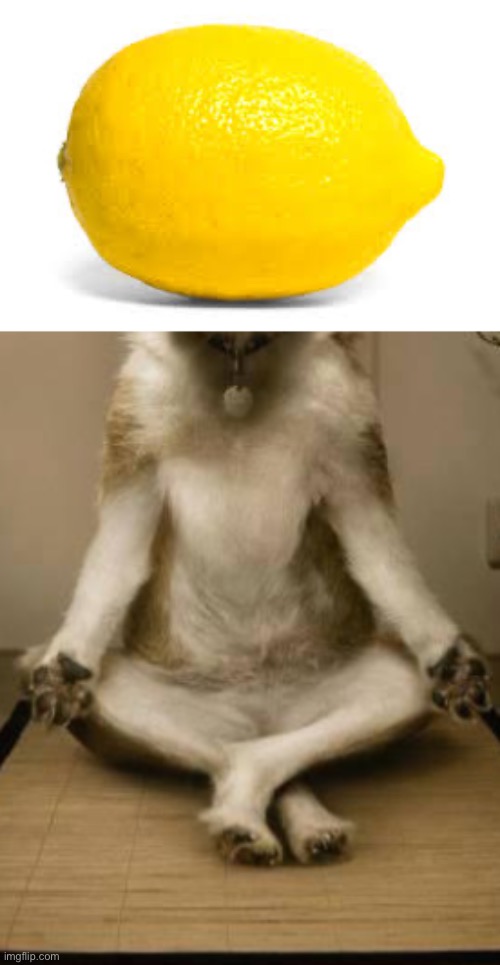Not as bad- | image tagged in when life gives you lemons x,meditation | made w/ Imgflip meme maker