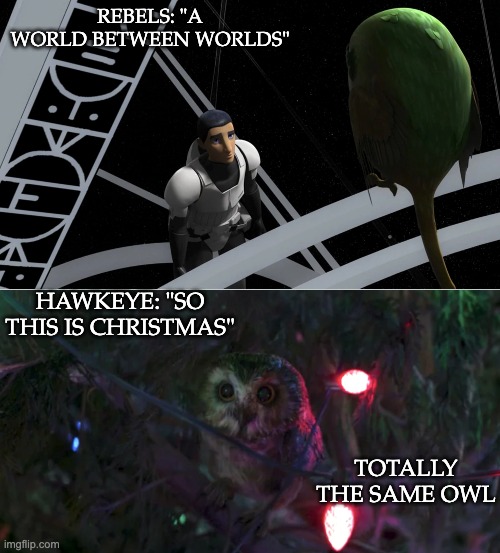Crossover |  REBELS: "A WORLD BETWEEN WORLDS"; HAWKEYE: "SO THIS IS CHRISTMAS"; TOTALLY THE SAME OWL | image tagged in star wars,mcu,tv shows,owl | made w/ Imgflip meme maker
