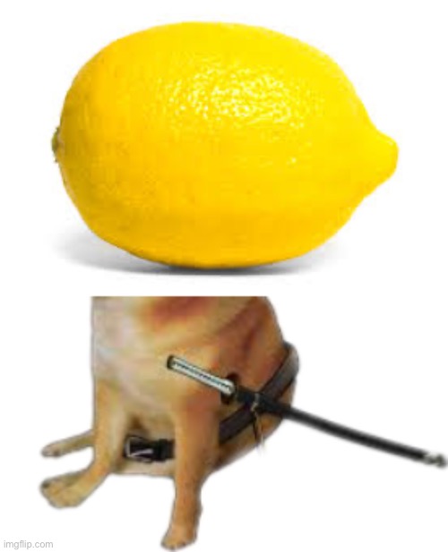 Silence wench | image tagged in when life gives you lemons x,silence wench | made w/ Imgflip meme maker