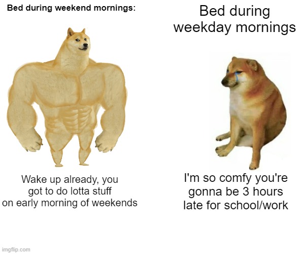 Why u wanna get me outta bed when l don't wanna |  Bed during weekend mornings:; Bed during weekday mornings; Wake up already, you got to do lotta stuff on early morning of weekends; I'm so comfy you're gonna be 3 hours late for school/work | image tagged in memes,buff doge vs cheems | made w/ Imgflip meme maker