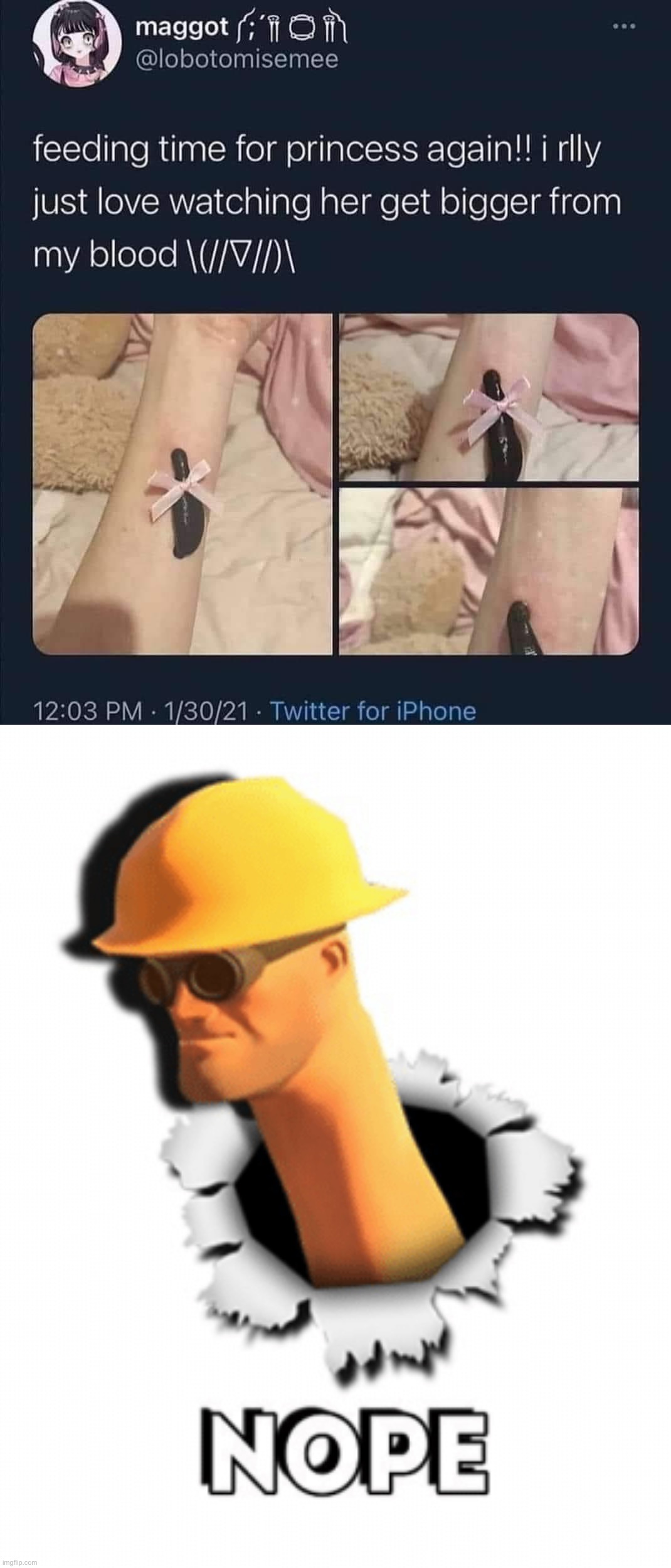 image tagged in leech pet,tf2 nope | made w/ Imgflip meme maker