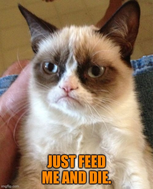 Grumpy Cat Meme | JUST FEED ME AND DIE. | image tagged in memes,grumpy cat | made w/ Imgflip meme maker