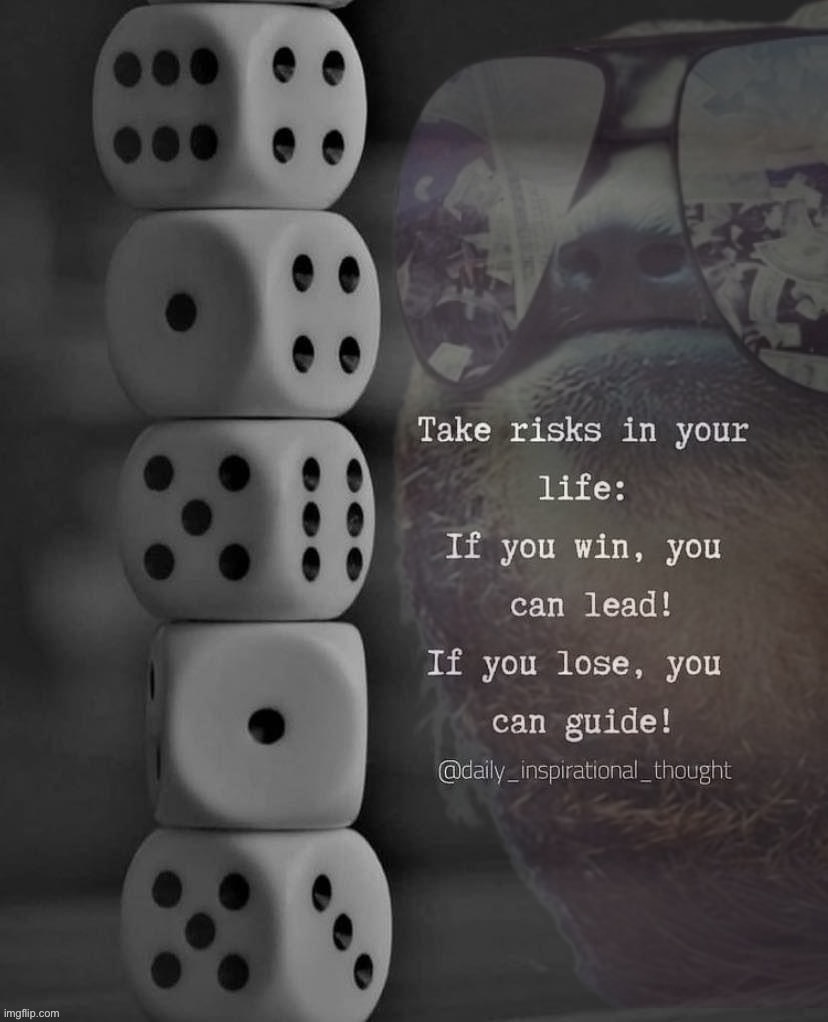 Sloth take risks in your life | image tagged in sloth take risks in your life | made w/ Imgflip meme maker