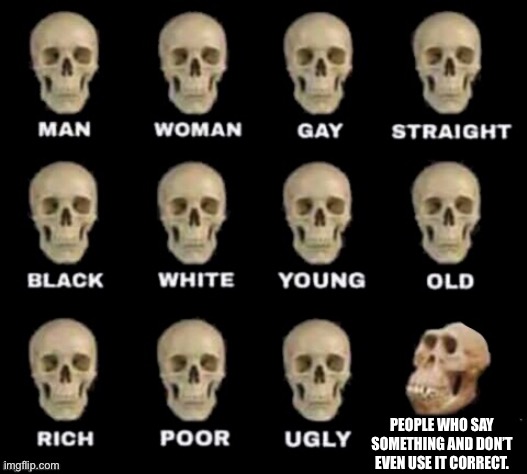 People who use words incorrectly: |  PEOPLE WHO SAY SOMETHING AND DON’T EVEN USE IT CORRECT. | image tagged in idiot skull | made w/ Imgflip meme maker