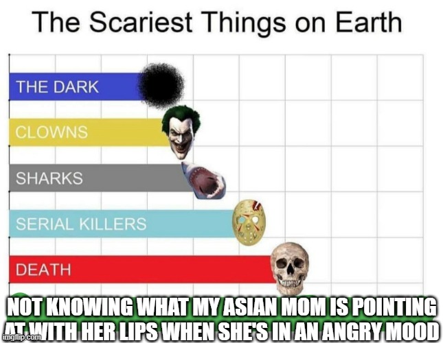 :0 | NOT KNOWING WHAT MY ASIAN MOM IS POINTING AT WITH HER LIPS WHEN SHE'S IN AN ANGRY MOOD | image tagged in scariest things on earth | made w/ Imgflip meme maker