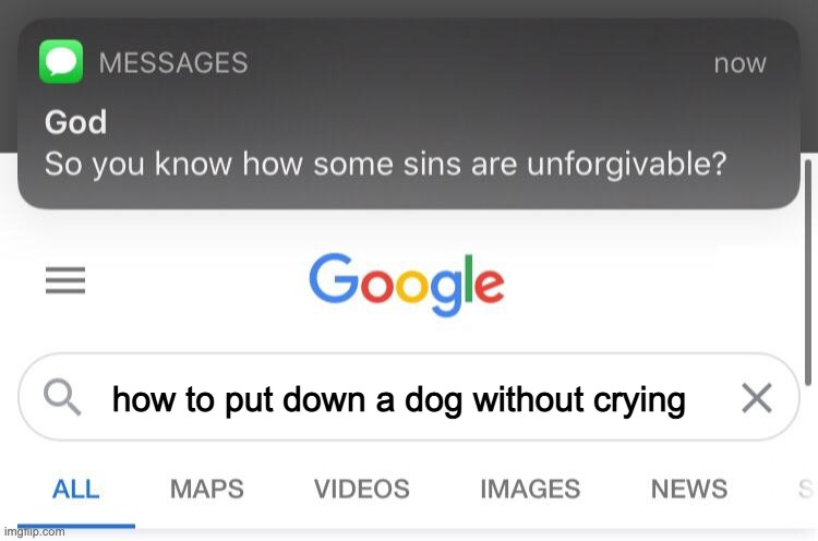 oh NO | how to put down a dog without crying | image tagged in so you know how some sins are unforgivable | made w/ Imgflip meme maker