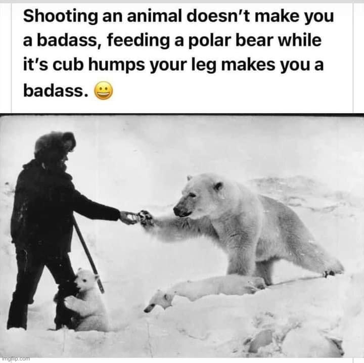 Shooting an animal doesn’t make you a badass | image tagged in shooting an animal doesn t make you a badass | made w/ Imgflip meme maker