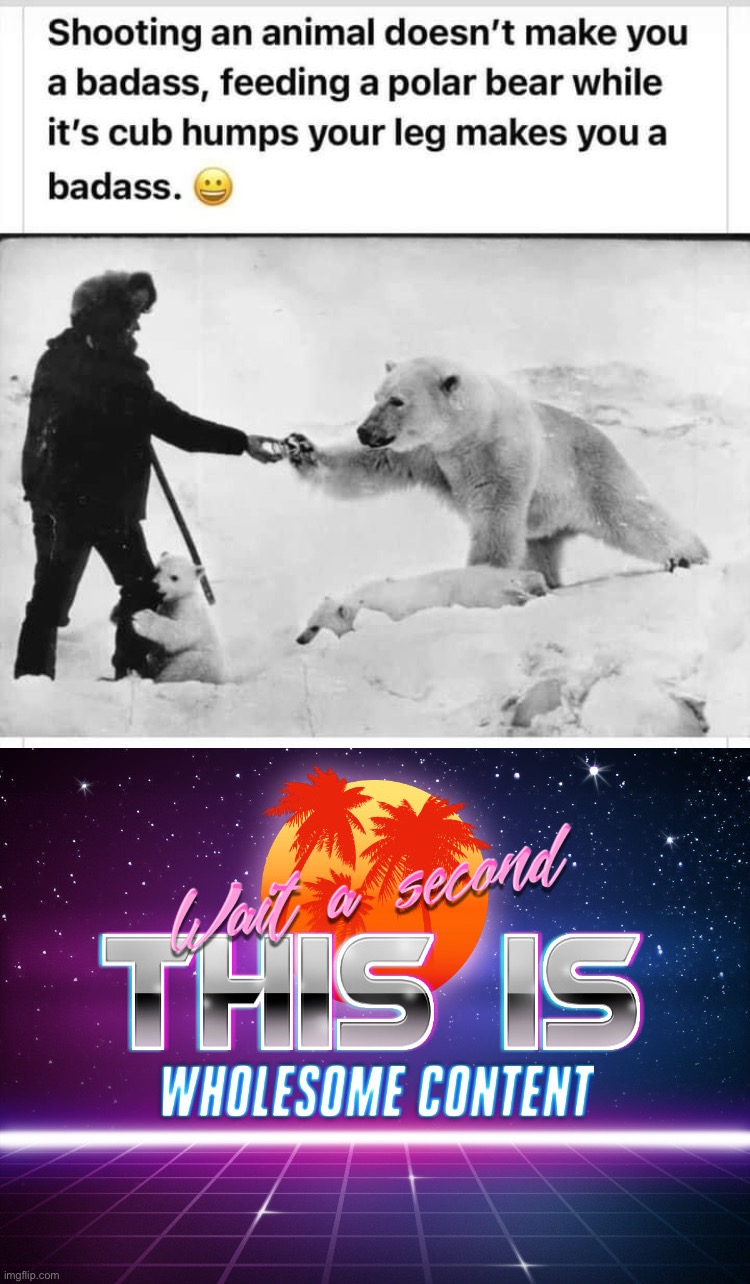 image tagged in shooting an animal doesn t make you a badass,wait a second this is wholesome content | made w/ Imgflip meme maker
