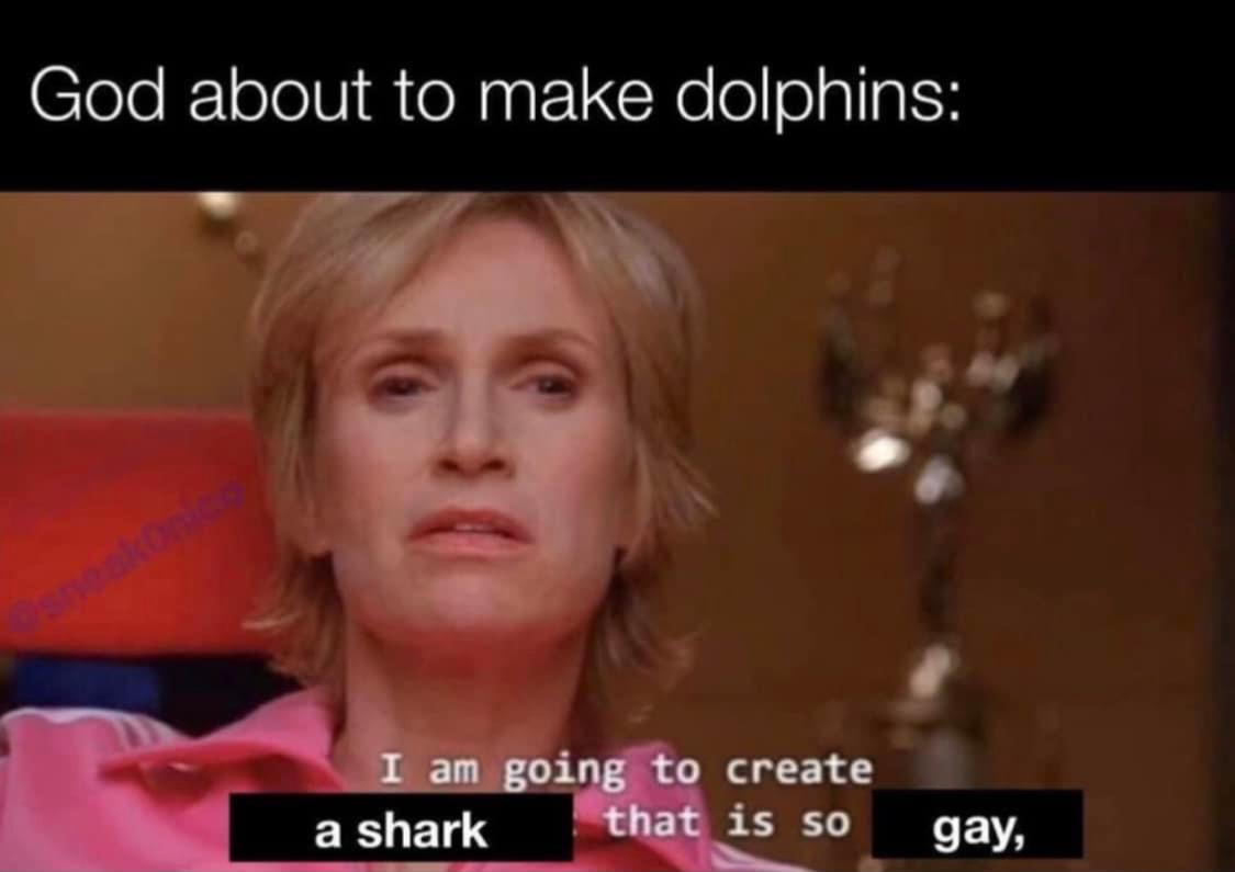 God about to make dolphins Blank Meme Template